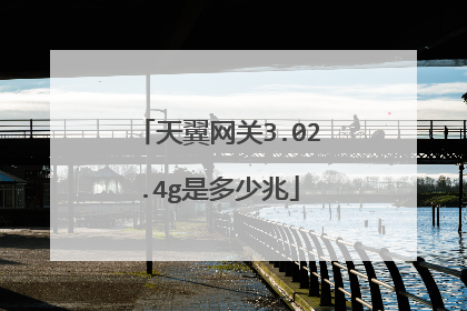 天翼网关3.02.4g是多少兆