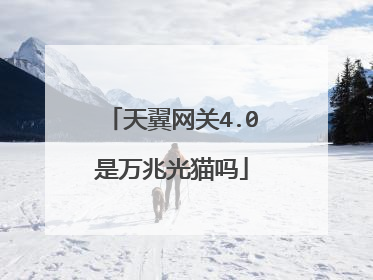 天翼网关4.0是万兆光猫吗