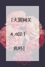 天翼网关4.0是千兆吗