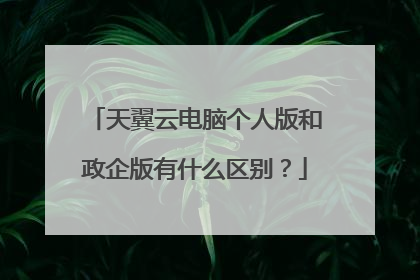 天翼云电脑个人版和政企版有什么区别？