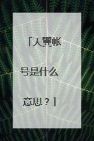天翼帐号是什么意思?