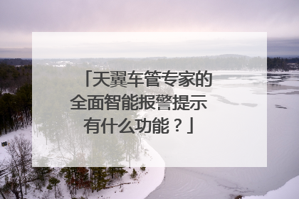 天翼车管专家的全面智能报警提示有什么功能?