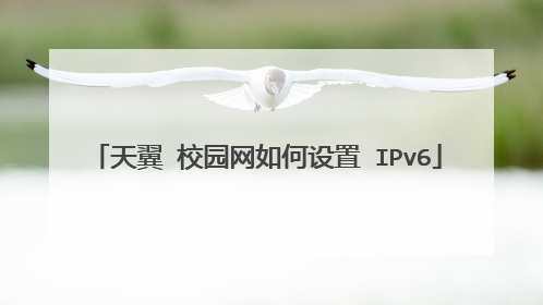 天翼 校园网如何设置 IPv6