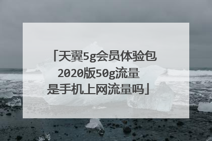 天翼5g会员体验包2020版50g流量是手机上网流量吗