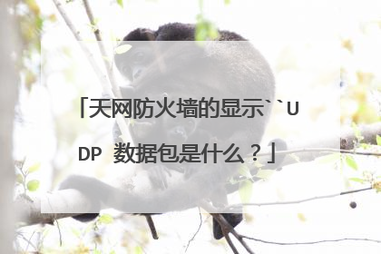 天网防火墙的显示``UDP 数据包是什么？
