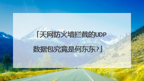 天网防火墙拦截的UDP数据包究竟是何东东?