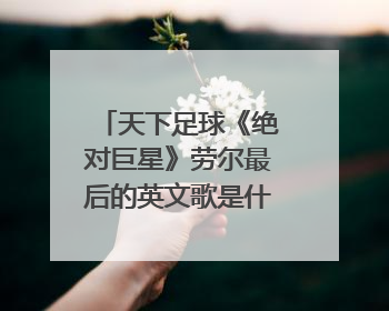 天下足球《绝对巨星》劳尔最后的英文歌是什么名字？