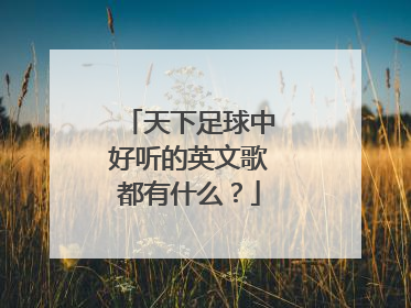 天下足球中好听的英文歌都有什么？