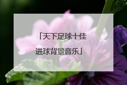 天下足球十佳进球背景音乐