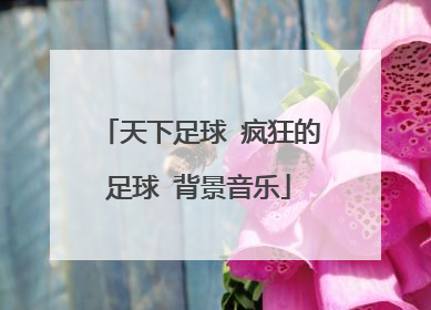 天下足球 疯狂的足球 背景音乐