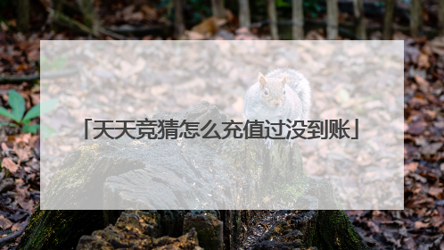 天天竞猜怎么充值过没到账