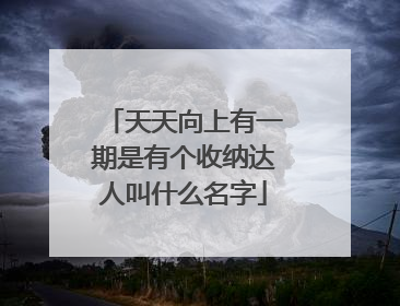 天天向上有一期是有个收纳达人叫什么名字