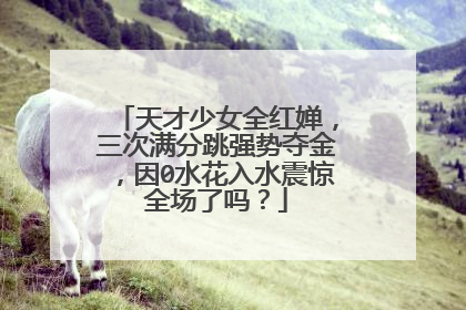 天才少女全红婵,三次满分跳强势夺金,因0水花入水震惊全场了吗?