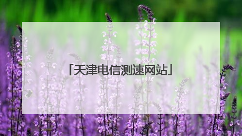 天津电信测速网站