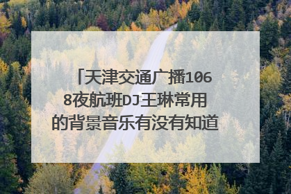 天津交通广播1068夜航班DJ王琳常用的背景音乐有没有知道的，一个是英文女生唱的，挺欢快的