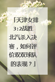 天津女排3:2战胜北汽杀入决赛，如何评价双双球队的表现？