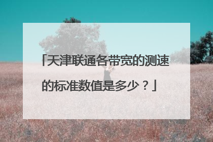 天津联通各带宽的测速的标准数值是多少?