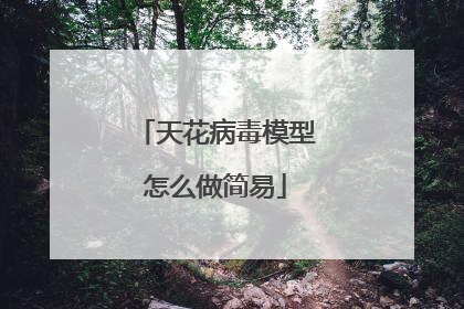 天花病毒模型怎么做简易