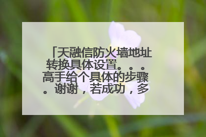 天融信防火墙地址转换具体设置。。。高手给个具体的步骤。谢谢,若成功,多少分都行。