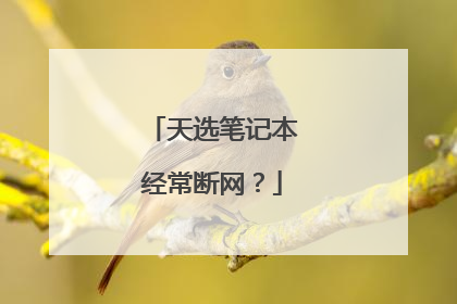 天选笔记本经常断网?