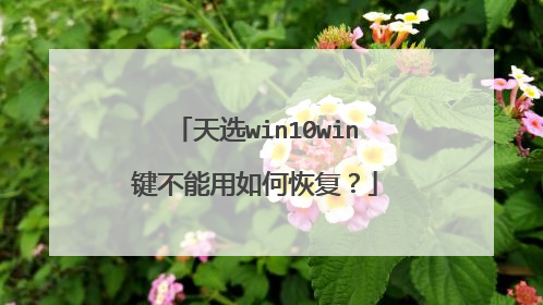天选win10win键不能用如何恢复？