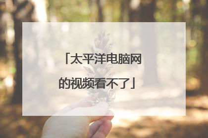 太平洋电脑网的视频看不了