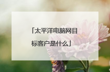 太平洋电脑网目标客户是什么