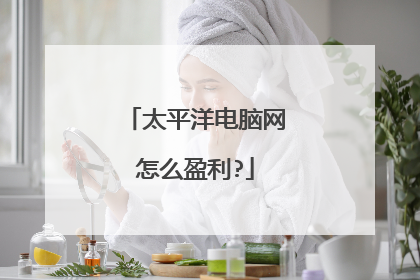太平洋电脑网怎么盈利?