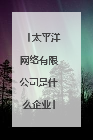 太平洋网络有限公司是什么企业