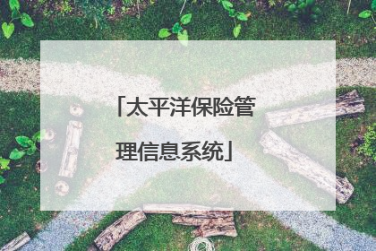 太平洋保险管理信息系统