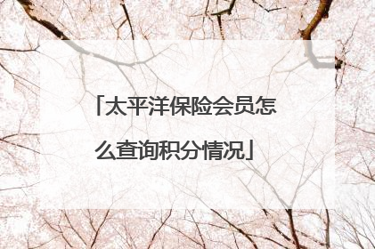 太平洋保险会员怎么查询积分情况