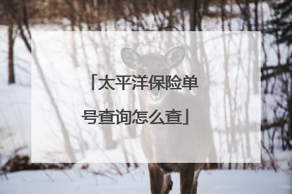 太平洋保险单号查询怎么查
