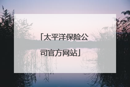 太平洋保险公司官方网站