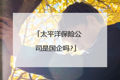 太平洋保险公司是国企吗?