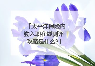 太平洋保险内勤入职在线测评攻略是什么?