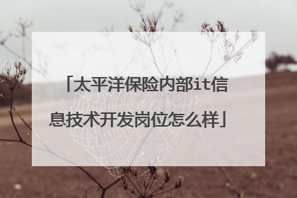 太平洋保险内部it信息技术开发岗位怎么样