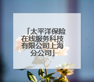 太平洋保险在线服务科技有限公司上海分公司