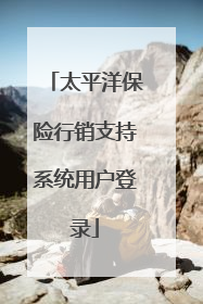 太平洋保险行销支持系统用户登录