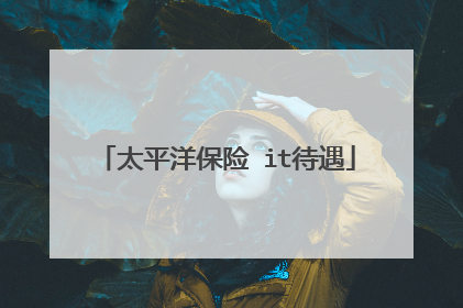 太平洋保险 it待遇