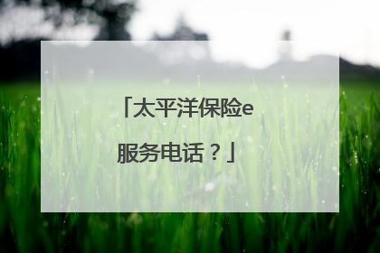 太平洋保险e服务电话？