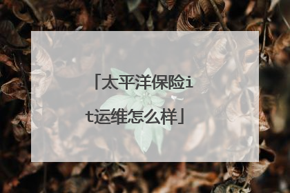 太平洋保险it运维怎么样
