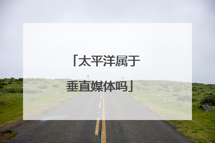 太平洋属于垂直媒体吗