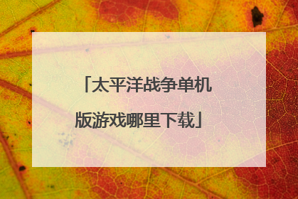 太平洋战争单机版游戏哪里下载