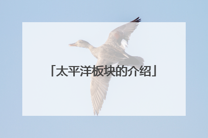太平洋板块的介绍