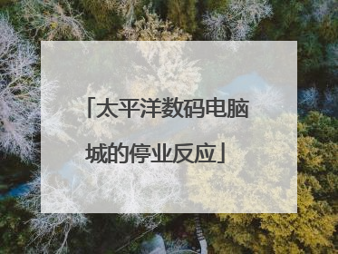 太平洋数码电脑城的停业反应