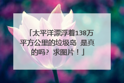 太平洋漂浮着138万平方公里的垃圾岛 是真的吗? 求图片!