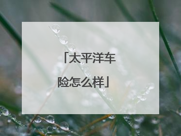 太平洋车险怎么样
