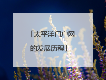 太平洋门户网的发展历程