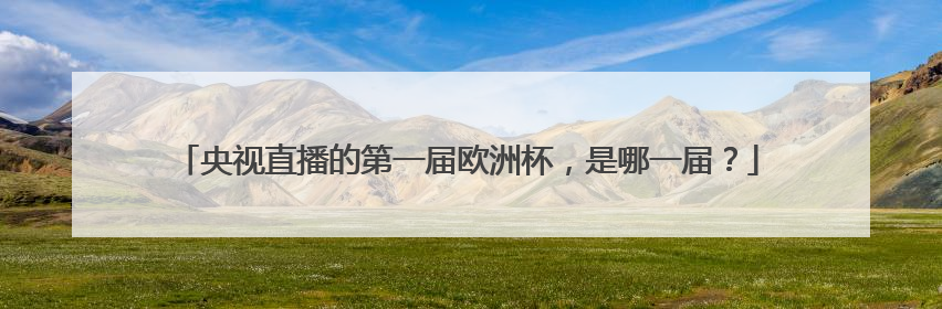 央视直播的第一届欧洲杯，是哪一届？