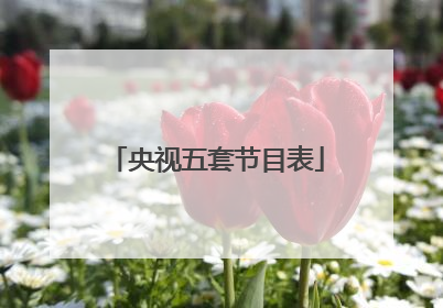 央视五套节目表